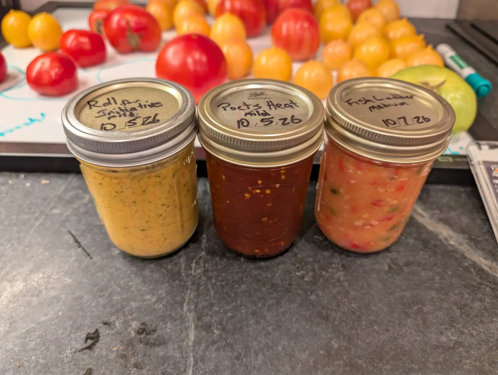 Three half-pint jars of homemade sauce on 7 October, left to right a thick pale yellow-orange puree flecked with green, a dark red-brown pour full of suspended seeds, then a coarse salmon-pink relish shot with skin and chunks. Warm indoor light, gray counter.