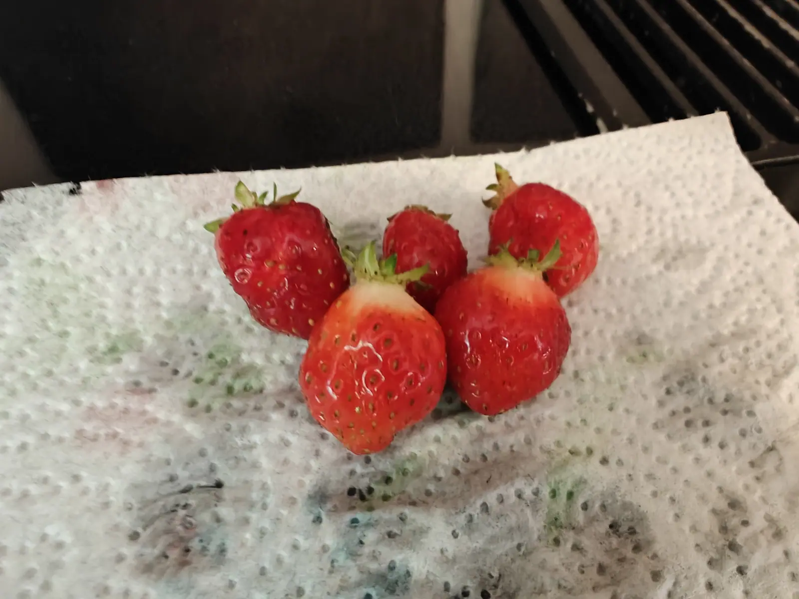 Five Early June strawberries picked on 21 June, each scarlet but still cream-blush at the shoulder where the calyx shaded it, their seeds sunk in dimples ringed with a raised paler halo, wet skins catching the only highlight in dim indoor light.