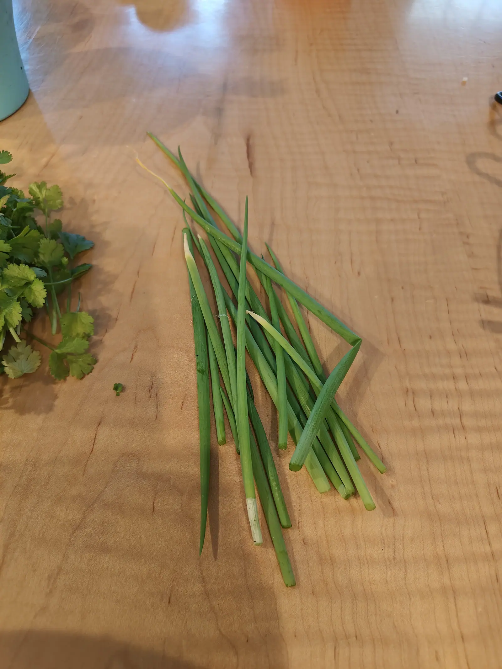 Scallions cut on 7 June, fourteen laid out in a loose fan on honey-colored boards, the color running from grass green at the needle tips through waxy blue mid-leaf to white at the cut ends, each showing a hollow ring where it was trimmed.