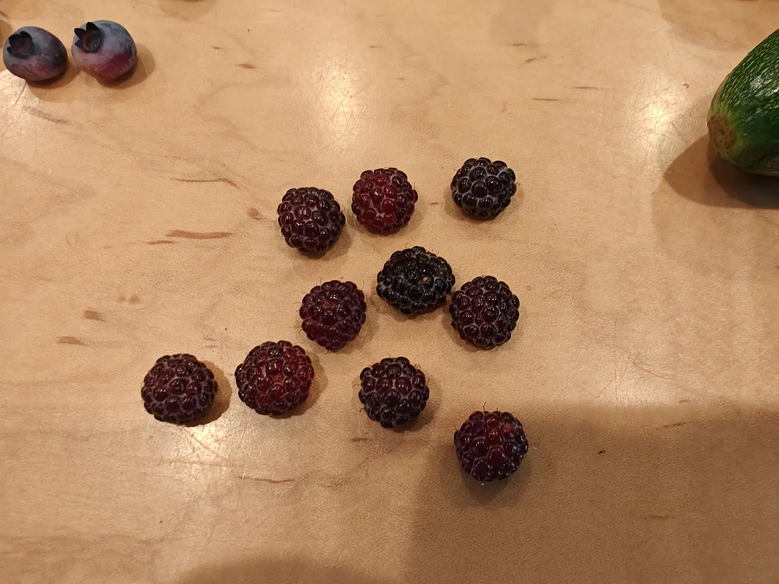 Ten berries laid out in a diamond on 29 June, each built of thirty or forty glossy drupelets with white bloom caught in the seams, running from bright red through wine to near-black, the darkest one hollow where it pulled free of its core.