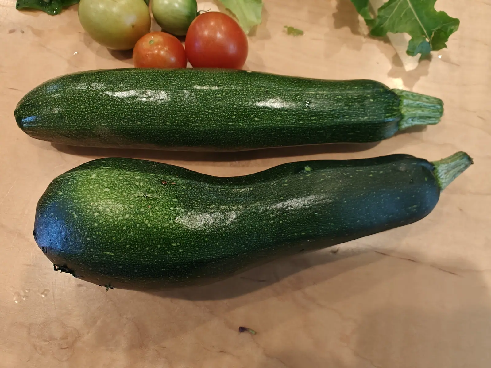 Two Dark Green zucchini on 29 June laid side by side indoors, both flecked pale over near-black skin with a blue sheen rolling off the shoulders, the lower one waisted and curved where the upper runs straight, each cut with its ridged stalk.