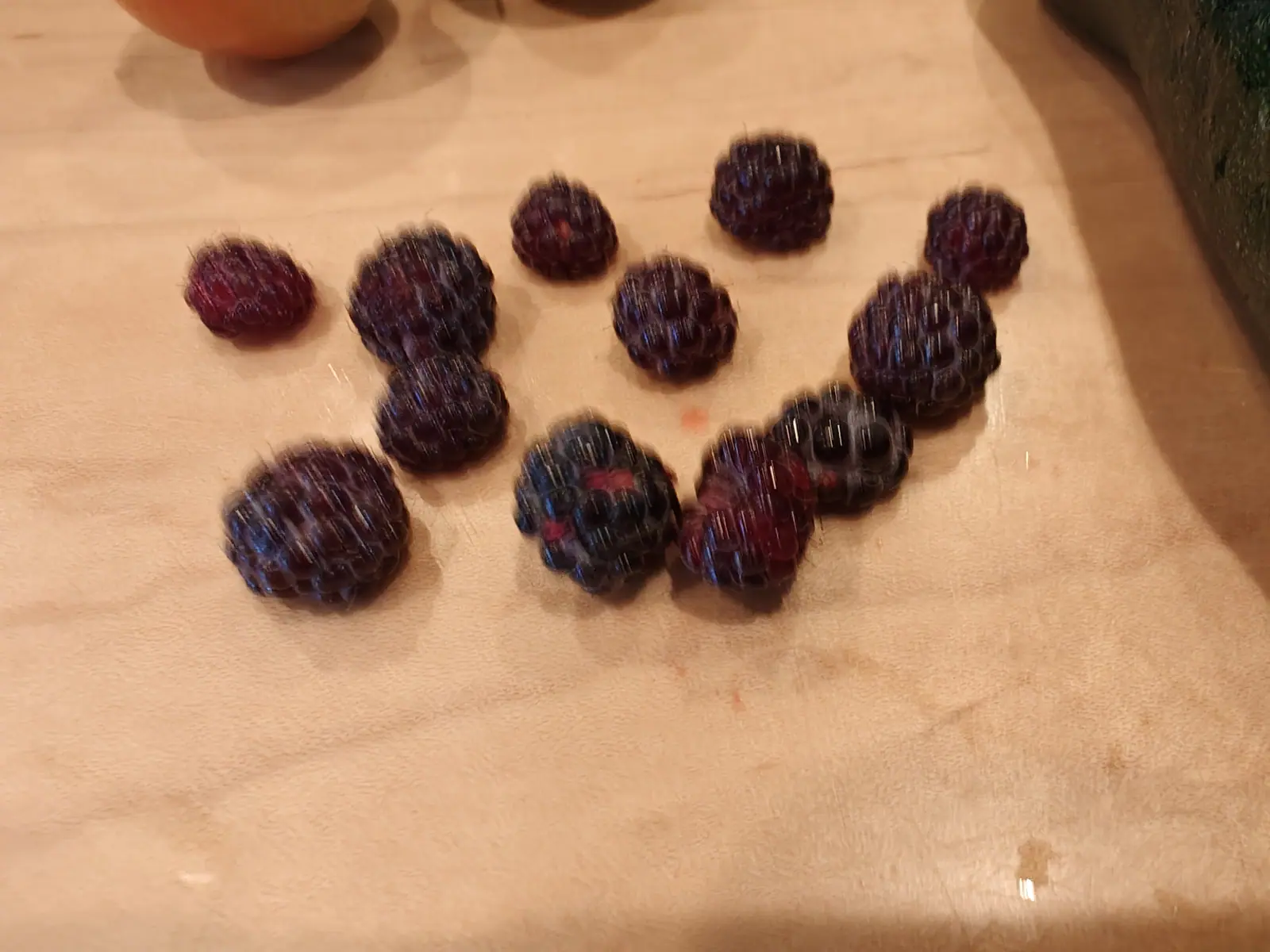 A dozen picked berries on a honey-colored board on 29 June, each built of rounded drupelets gone purple-black with patches of bright magenta still showing through, and one orange-red spot of juice bled into the wood between them.