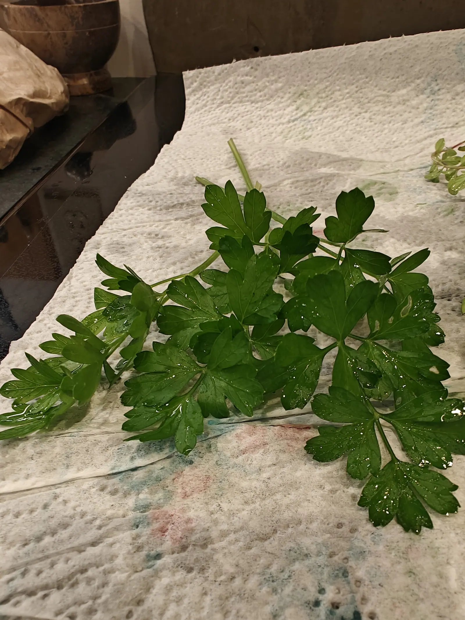 Italian parsley cut and left to drain on 12 July, each leaf divided in threes and again in threes with the teeth drawn out to fine points, still beaded from the wash on a paper towel already stained green and pink by earlier produce.