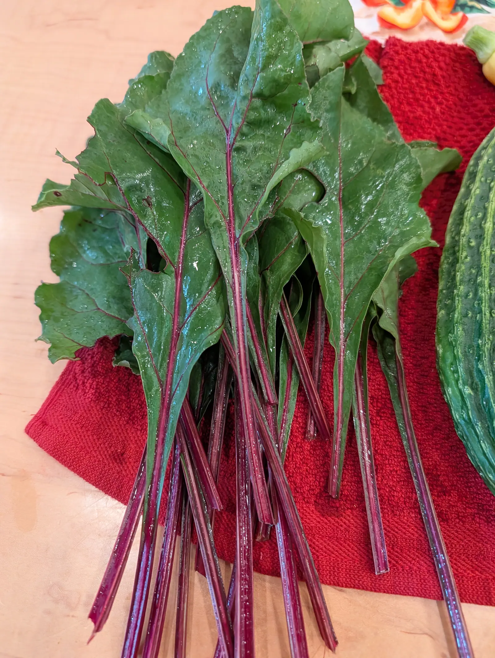 A dozen leaves cut and washed on 16 July, every midrib and lateral vein a vivid magenta-crimson fanning from the base so the whole blade looks drawn in red ink, margins crimped and buckled, soaking wet on a red towel under kitchen light.