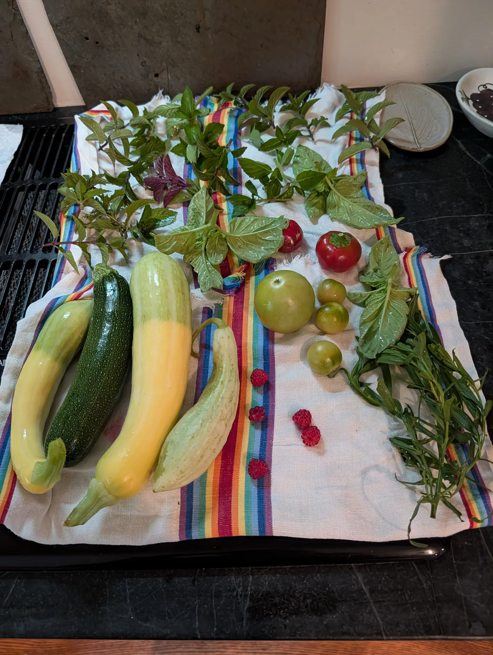 A rinsed picking laid out on 23 July on a striped tea towel, two squash divided along their length between buttery yellow and pale green, one scarlet fruit among a half-dozen still green, and cut sprigs of mint and basil in rows across the top.
