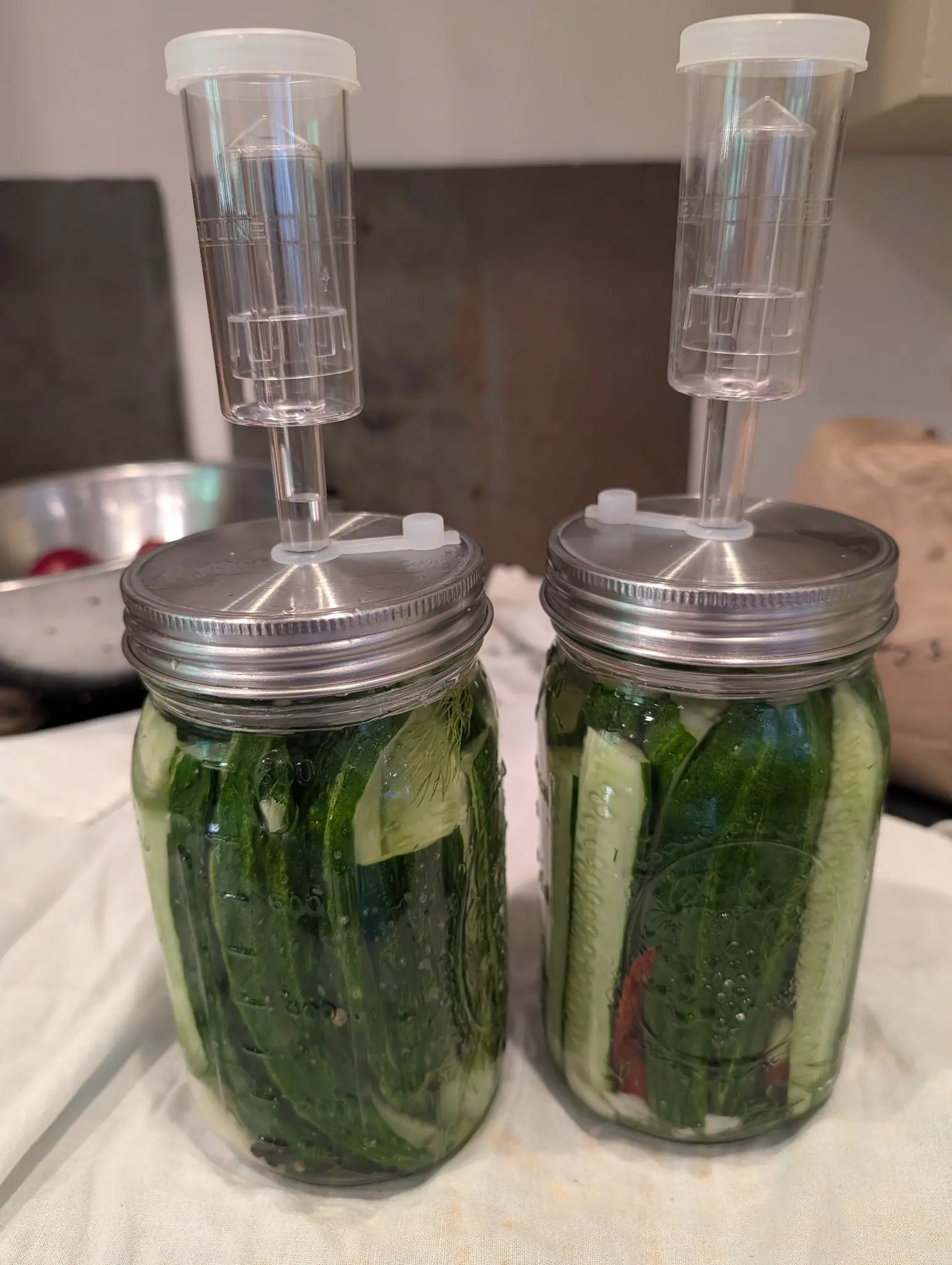 Two jars set to ferment on 28 July, quartered spears standing on end with their seedy cut faces to the glass, dill pushed down between them and a dried red chili against the side, bubbles strung along every spear and foam gathering at the brine line.