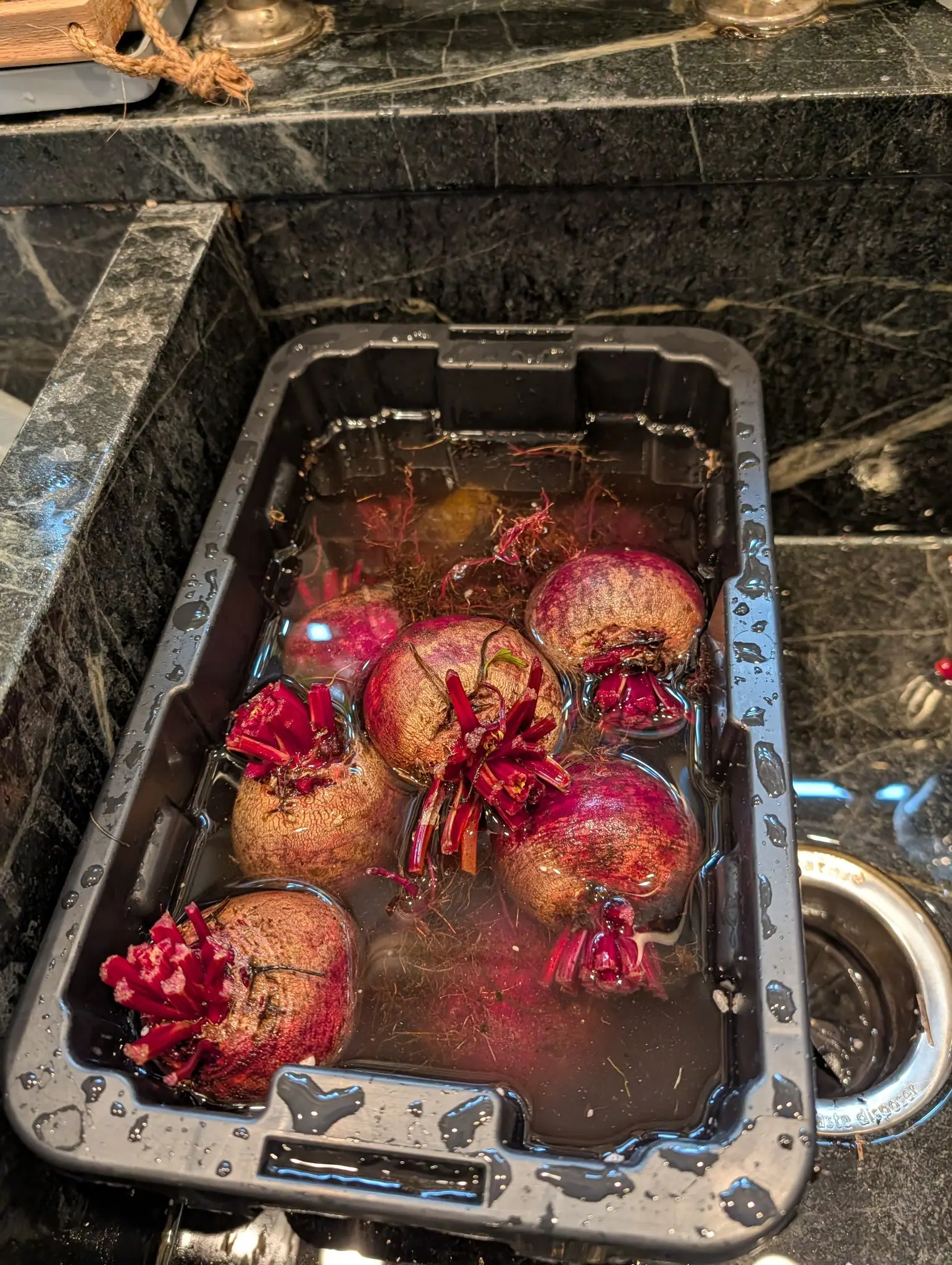 Beets pulled on 31 July and set to soak, their skins crazed with fine shallow lines and faintly ringed around the shoulder, every cut stalk stub crimson right through, and the water already stained translucent pink-brown under hard kitchen light.