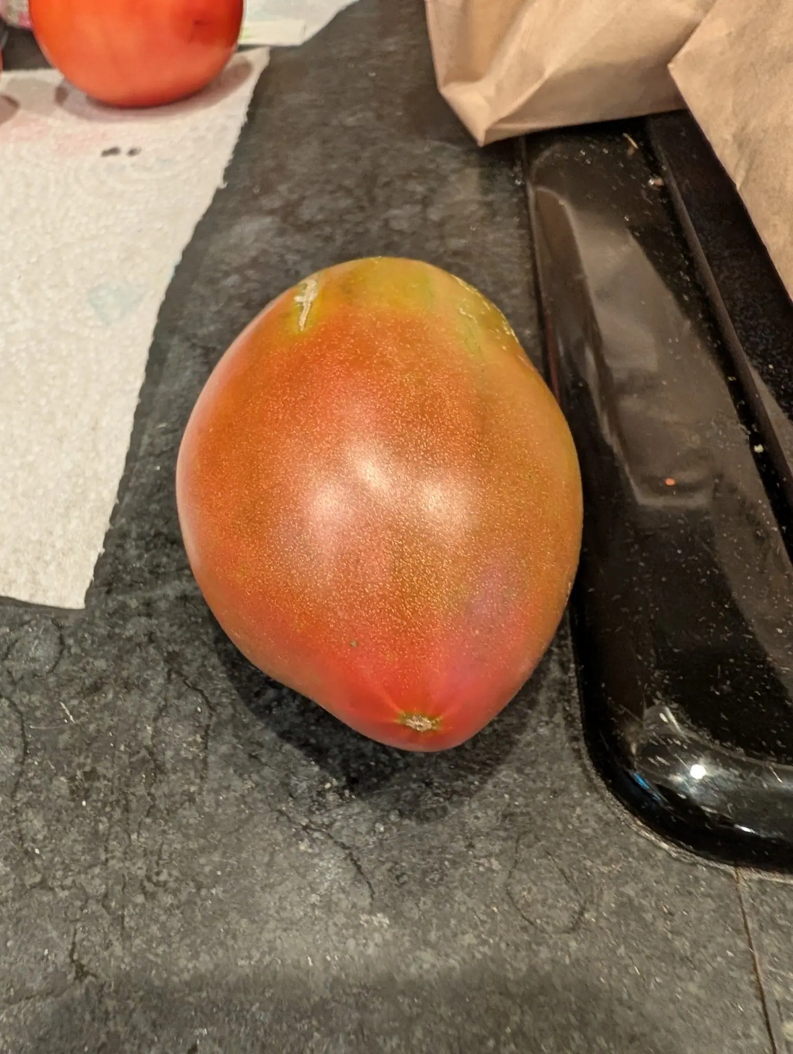 A Ukrainian Purple tomato on 31 July, dusky brick-red over most of its body but still olive and dull gold across the shoulders, a purple-brown bloom low on one side and a corky beige star at the blossom end, on speckled stone under warm light.