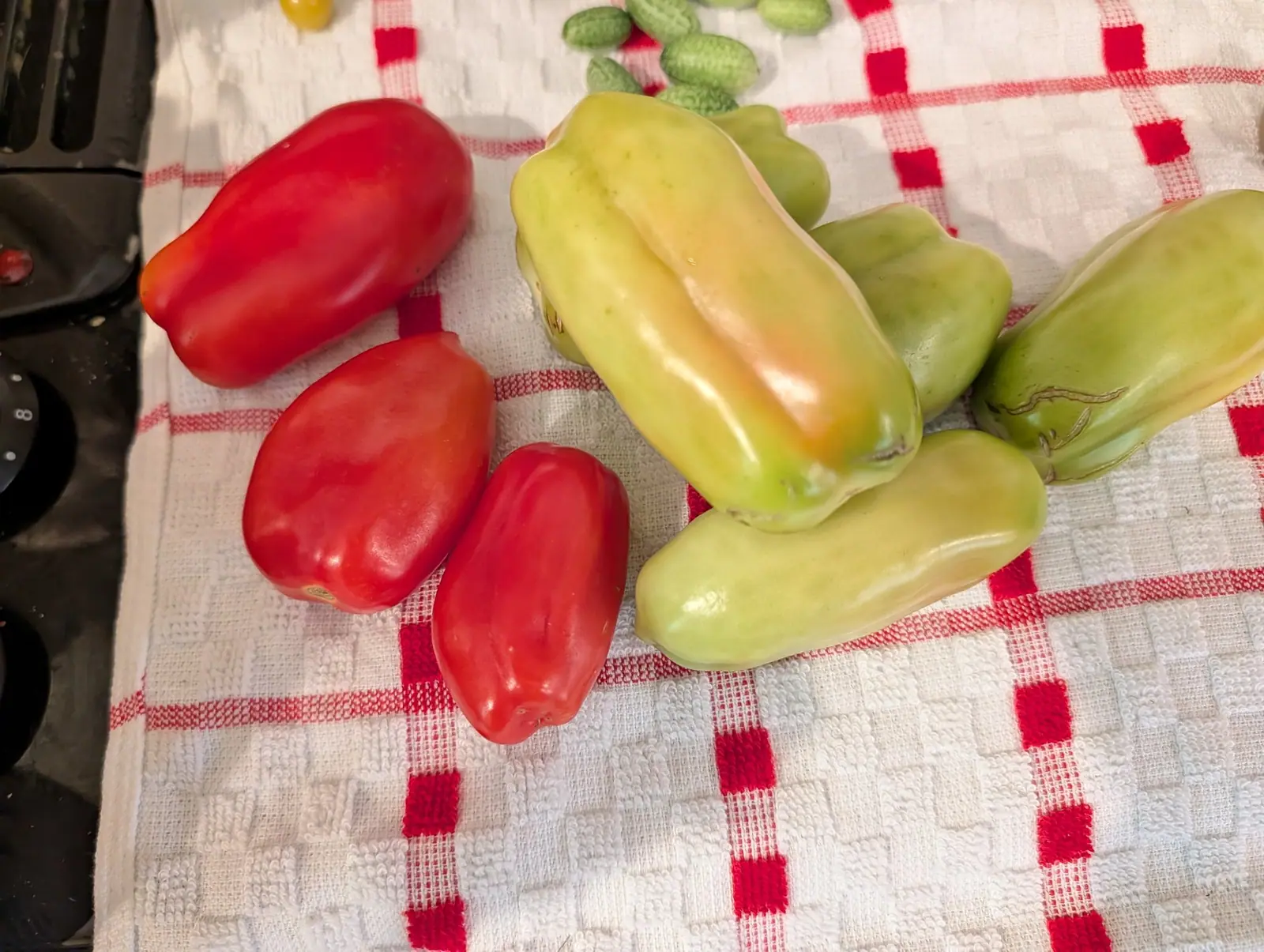 Eight San Marzano Roma tomatoes laid out on 3 August, three ripe and five still green, two of the green ones carrying healed corky zipper scars in ragged lines across the shoulder and one flank going gold, on checked cotton beside a cooktop grate.